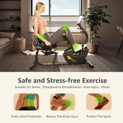 Recumbent Magnetic Exercise Bike for Home Workouts